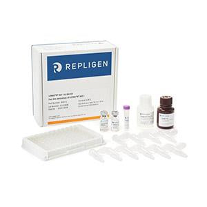 ELISA Kit for the Detection of LONG®R3 IGF-I